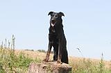 BEAUCERON 124